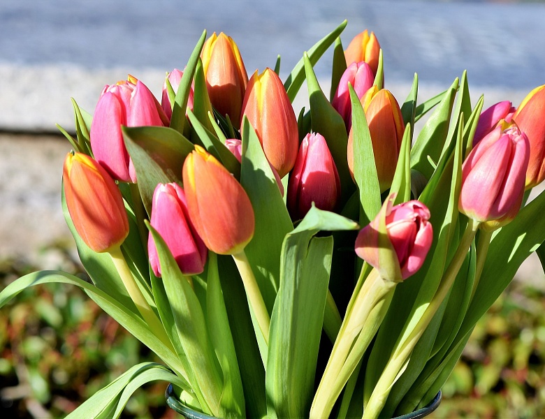 С праздником 8 марта!